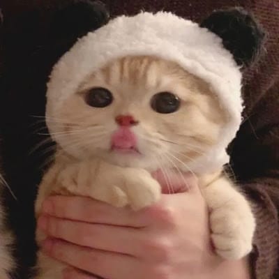 ปกเกล้า อนันต์ avatar