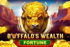 Buffalo's Wealth Fortune
